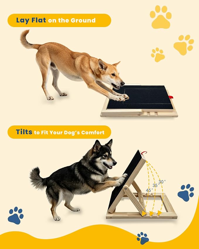 Adjustable Dog Nail Scratch Board with Treat Drawer