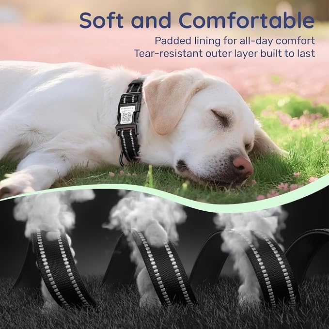 Dog Collar for Large Dogs with Smart QR Tags