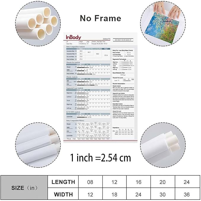 InBody1 Poster Body Composition Analysis Guide, Muscle Mass, Body Fat, BMI, Visceral Fat Level, Basal Metabolic Rate Canvas for Living Room Bedroom Decor 12x18inch(30x45cm) Unframe-style
