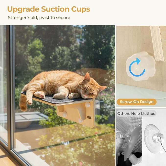 Pecute 2-in-1 Cat Window Perch & Wall Shelves, Cat Hammock Window 16"x10" | Solid Wood Frame, Strong Suction Cups, Washable Cover Mat, Window Bed for Kitten, Indoor Cats, Window Seat for Birds Watching