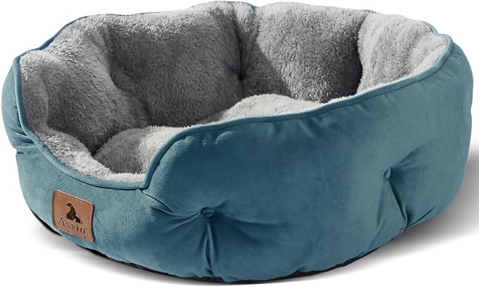 Medium Dog Bed for Medium Dogs, Cat Beds for Indoor Cats, Pet Bed for Puppy and Kitty, Extra Soft & Machine Washable with Anti-Slip & Water-Resistant Oxford Bottom, Teal, 25 inches