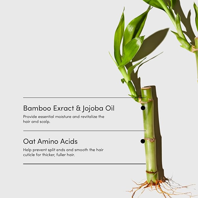 LATHER - Bamboo Crème Hair Wash, 8 fl oz - Daily Shampoo & Cleanser - Revitalize Hair - Jojoba Oil, Essential Oils, Oat Amino Acids - Sensitive Skin Safe - Vegan & Cruelty Free - Beauty & Hair Care