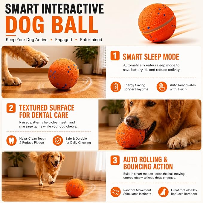 Interactive Dog Ball, Automatic Moving Toy for Small Dogs