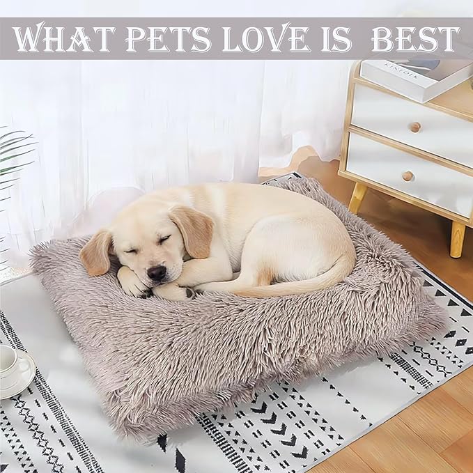 Washable Calming Dog & Cat Bed for Ultra Large Small Medium Size Pet | Calming Cute Warming Mat House Supply Indoor, 8 Sized Deal Necessity Essential Furniture for Boy Girl Puppy Kitten kitty