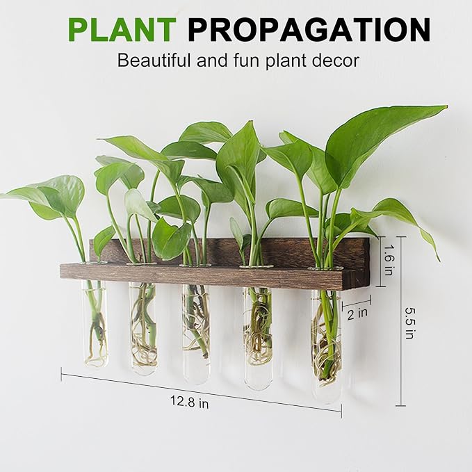 Wall Hanging Plant Propagation Station 15 Glass Test Tubes - Brown | 3 Tiered Vase Planter for Hydroponic Home Garden Office Decor, Gardening Gifts for Women Plant Lover