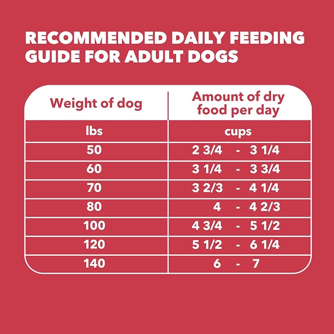 IAMS Proactive Health Large Breed Dry Dog Food, Lamb & Rice, 40 lb | Real Lamb #1 Ingredient, vet-recommended, Glucosamine & Chondroitin for bones & joints, supports strong muscles