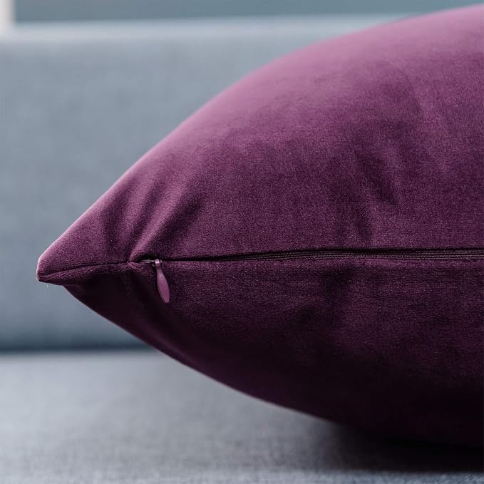 16x24 Velvet Throw Pillow Cover Set of 2 for Couch Bed Sofa,Eggplant Purple | Decorative Soft Pillow Covers with Invisible Zipper for Couch Sofa Bed Living Room Bedroom Home Decor