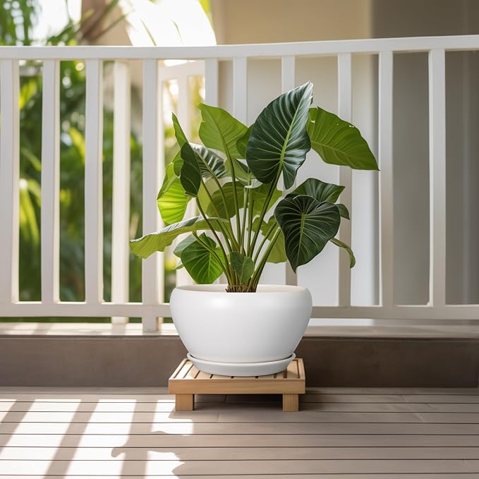 Ceramicfor Ceramic Planter for Indoor Plants - 11 Inch Plant Pot with Drainage Hole and Saucer Decorative Round Large Planter Pot for Plants Outdoor Flower Pot for Garden White