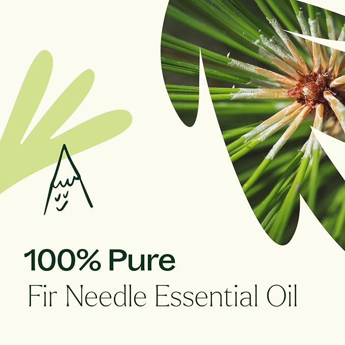 Plant Therapy Fir Needle Essential Oil 10 mL (1/3 oz) 100% Pure, Undiluted, Fresh Scent, Respiratory Support, DIY Cleaners