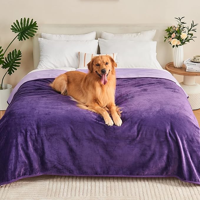 Waterproof Blanket Bed Cover 80"x90" for Adults or Pets, Dark Purple | Soft Pet Blanket for Dogs Cats, Reversible Leakproof Blanket for Bed Couch Sofa, Furniture Protector