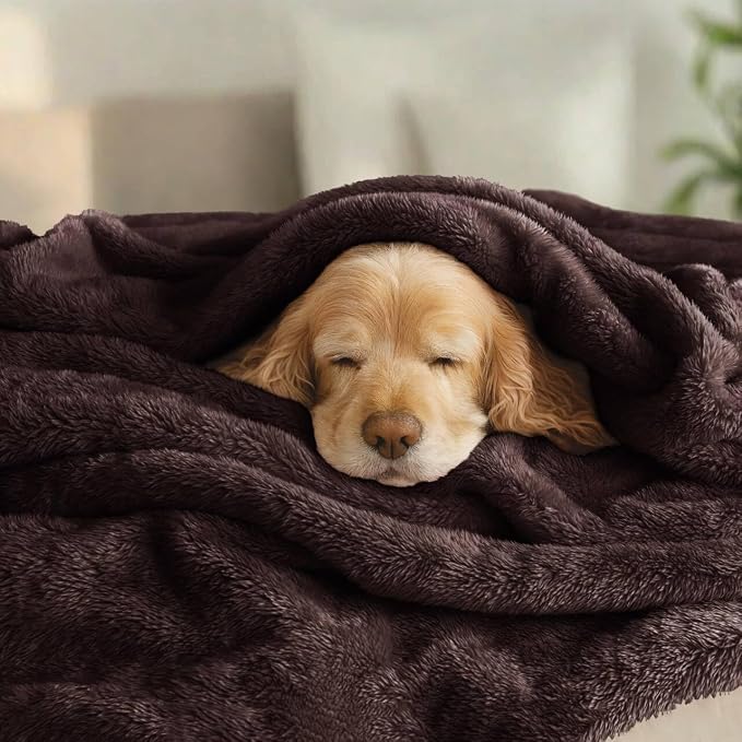 Exclusivo Mezcla Fuzzy Plush Fleece Bed Blanket Queen Size, Coffee | 90x90 Inches, Super Soft and Cozy Bed Blanket, Fluffy Decorative Bedding for Livingroom, Bedroom, All Season