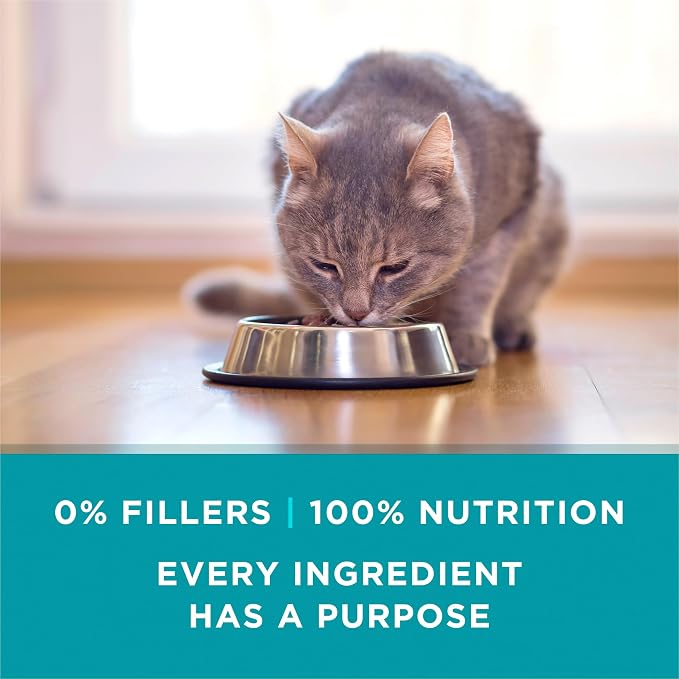 Purina ONE High Protein Wet Cat Food, Turkey, 3 oz Cans, Pack of 24 | High protein, moisture rich, turkey in gravy recipe made with no artificial colors, flavors or preservatives for adult cats