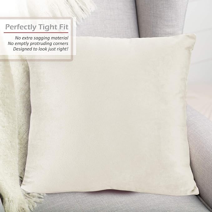 Throw Pillow Inserts Pack of 2 with Velvet Soft Solid Decorative Square Throw Pillow Covers Set for Sofa Couch Car Bedroom, 20X20 Throw Pillows Inserts with 18x18 Washable Cushion Covers, Off White