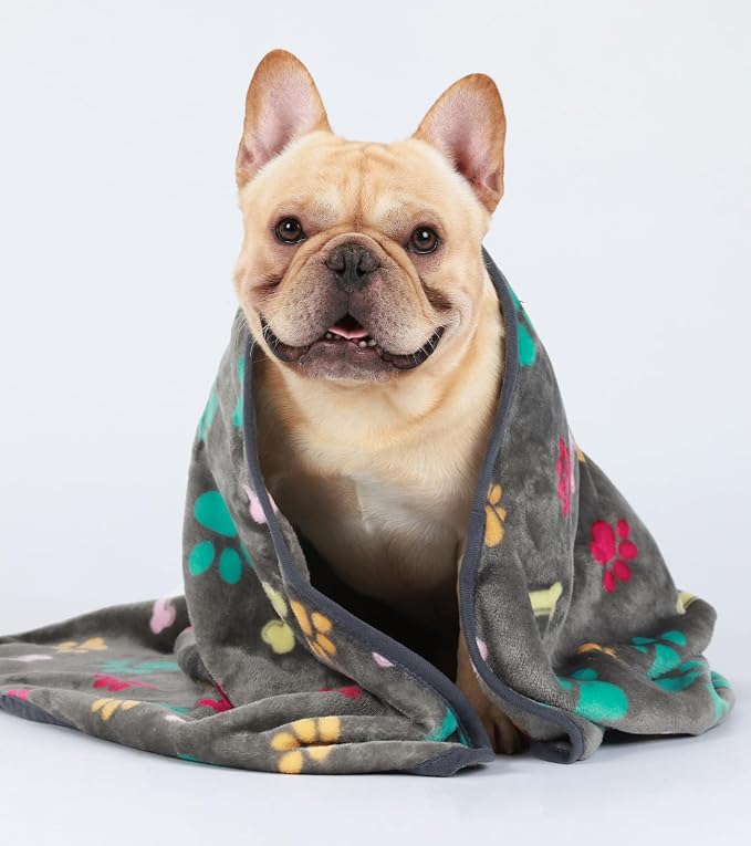 Luciphia 3 Pack Soft Fleece Dog Blankets for Medium Dogs Puppy Cats,30"x20" | Washable Throw Blanket for Crate, Couch, Bed, Travel. Cute Paw & Bone Print. Puppy Essential, Dog Gift,Grey