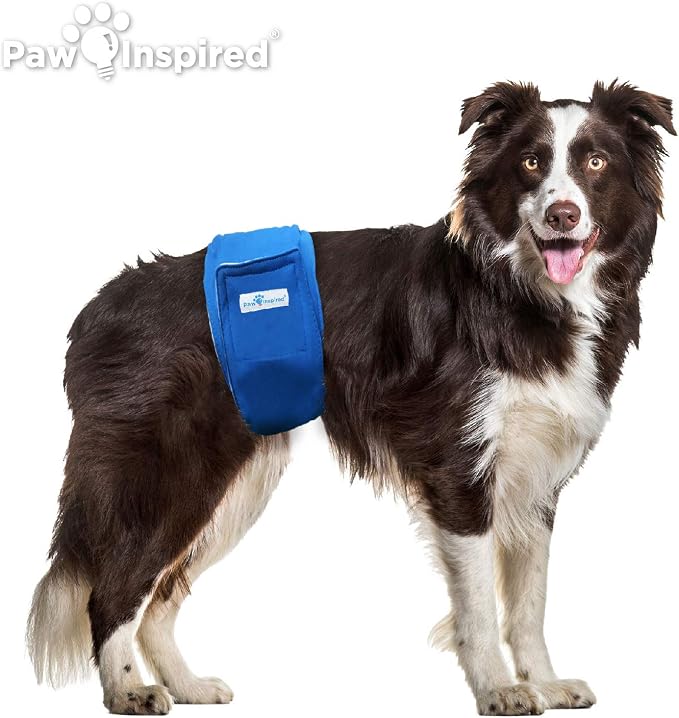 Paw Inspired Washable Male Dog Wraps, Assorted, White Lining, Large, 2 Pack | L Size, Blue/Green Colors, Reusable Cloth Belly Bands for Potty Training, Marking, Incontinence, Travel, Surgery