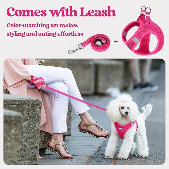 rabbitgoo Dog Harness Small Sized and Leash Set, Step-in Puppy Pet Vest | Light, Soft, Breathable Air Mesh, Easy on and Remove with Hook & Loop, Secure Reflective for Walking, Rose Red XXS