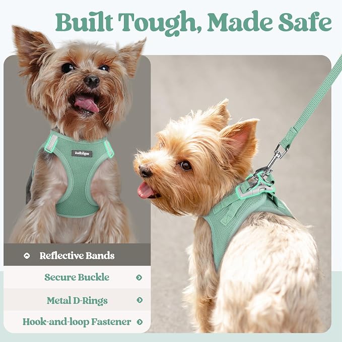 rabbitgoo Dog Harness Small Sized and Leash Set, Step-in Puppy Pet Vest | Light, Soft, Breathable Air Mesh, Easy on and Remove with Hook & Loop, Secure Reflective for Walking, Moss Green S