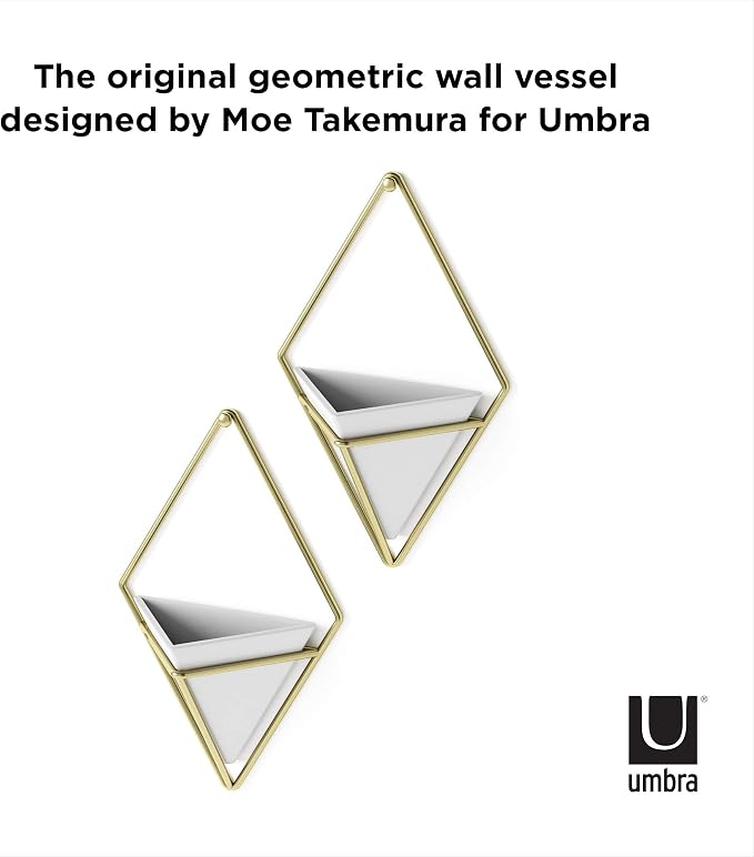 Umbra Trigg Hanging Planter for Small Plants, Set of 2, Small, White/Brass