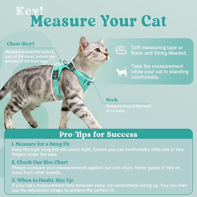 rabbitgoo Cat Harness and Leash, Easy-on with Neck Buckle, Green
