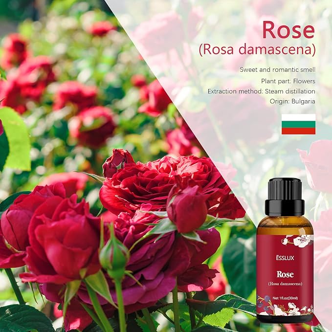 Rose Essential Oil, ESSLUX Aromatherapy Oils for Diffuser, Massage, Soap, Candle Making, Perfume, 30 ml