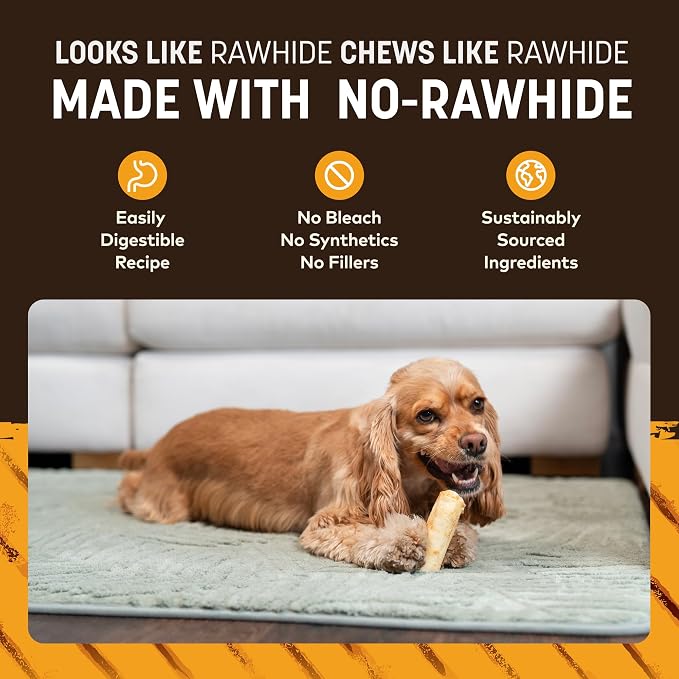 Earth Animal No Hide Dog Chews - Small Rolls 6 Count Grilled Cheese | Small Rolls Grilled Cheese Flavored Natural Rawhide Free Long Lasting Dog Chews - Pet Treats for Small Dogs