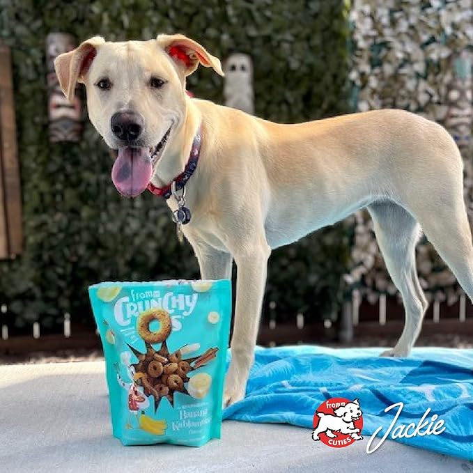 Fromm Crunchy Os Smokin' CheesePlosions Dog Treats - Pork Recipe - 6 oz