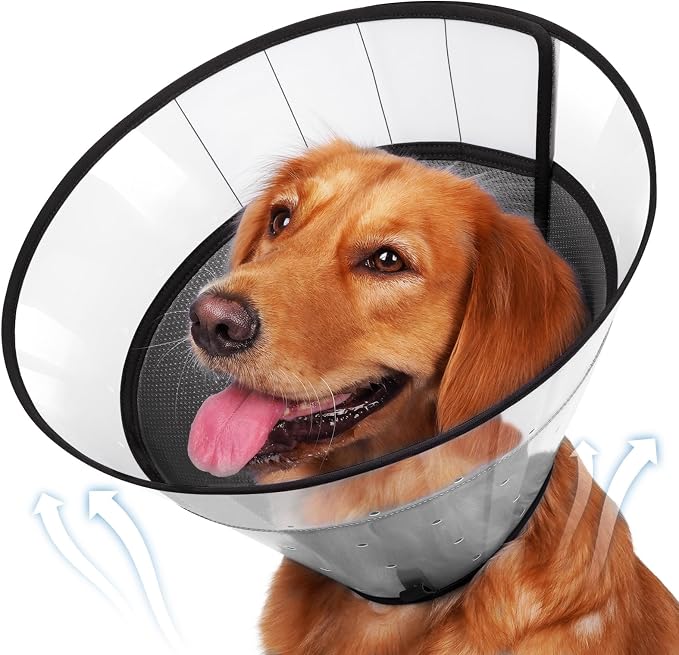 BARKLESS Transparent Dog Cone to Stop Licking Wounds, Soft E Collar, Medium