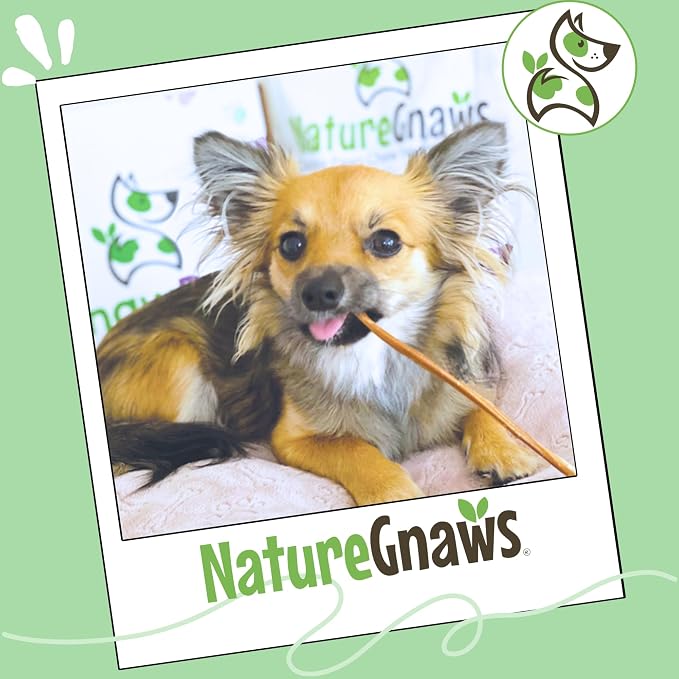 Nature Gnaws Super Skinny Bully Sticks 5-6" Rawhide Free Dog Chew, 40 Count | Long Lasting for Light Chewers and Puppies - Extra Thin Natural Beef Dog Chew Treats - No Artificial Preservatives