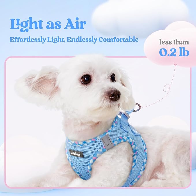 rabbitgoo Dog Harness Medium Sized and Leash Set, Step-in Puppy Pet Vest | Light, Soft, Breathable Air Mesh, Easy on and Remove with Hook & Loop, Secure Reflective for Walking, Blue & Plaid Trim L