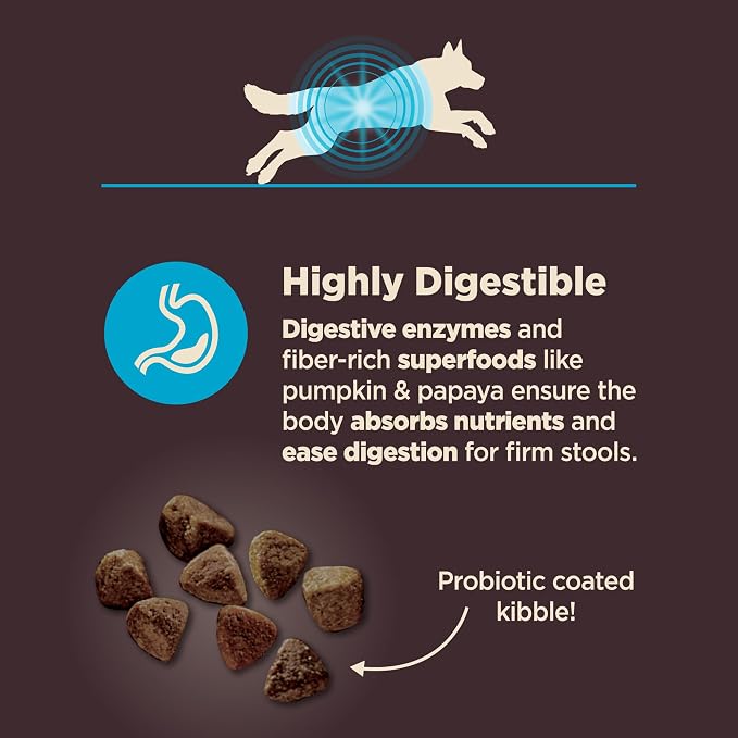 Wellness CORE Digestive Health Adult Dry Dog Food, Wholesome Grain Kibble, Sensitive Stomach, Natural, High Protein, Chicken Free, Whitefish and Brown Rice Recipe, 22 lb Bag