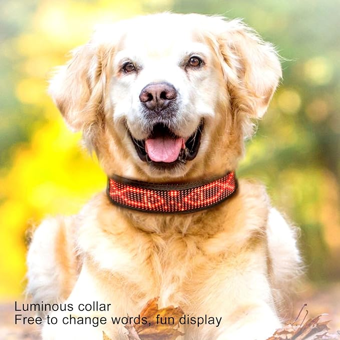 Programmable LED Collar Programmable LED Collar with Mobile Connection High Visibility Single Color Rechargeable Pet Dog Safety Basic Collars (Red)(Red)