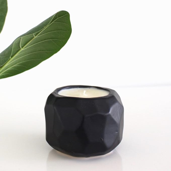 Hyggelight - The Growing Candle, Lemongrass Scented, 13oz Ceramic Pot, Single Wick Aromatherapy Candles, 100% Soy for Women and Men, Emma