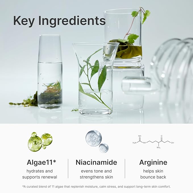 Deep Moisture Serum – Korean Hydrating Face Serum with Algae11, Niacinamide & Arginine for Dry Skin, Barrier Repair & Glass Skin Glow, Fragrance-Free K-Beauty Skincare, 50ml / 1.69 fl.oz.