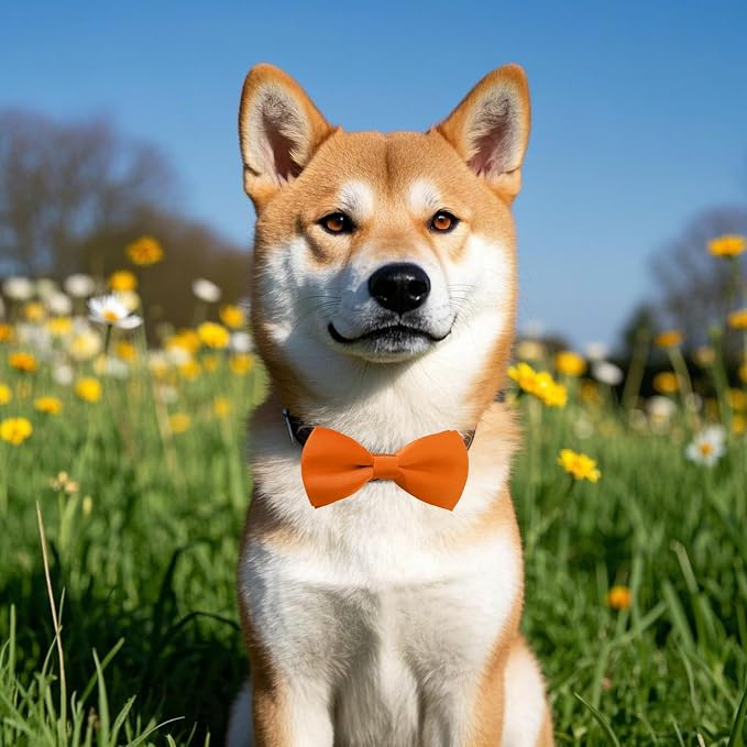 PET SHOW 12 Pack Plain Dog Bowties for Small Dogs Slide on Collar
