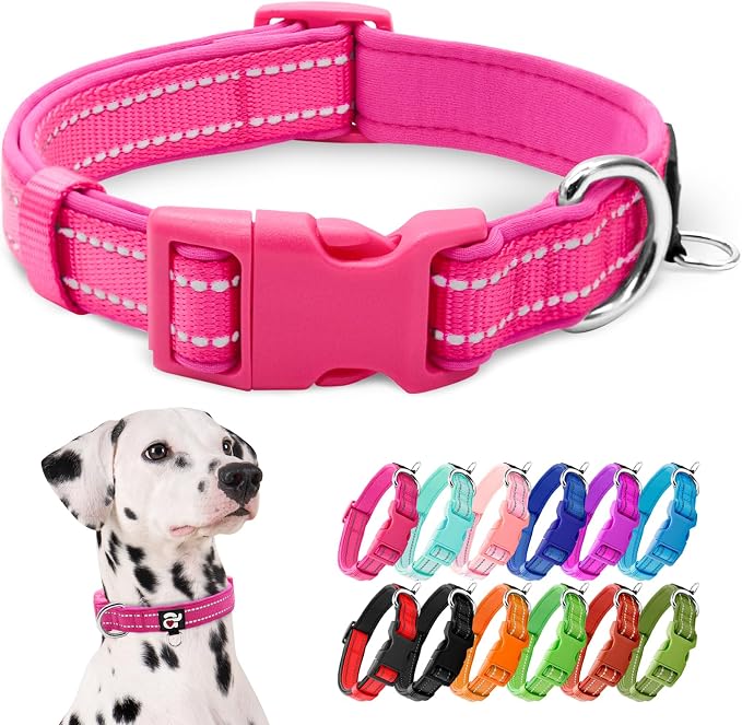 azuza Reflective Dog Collar, Neoprene Padded Large Dog Collar, Hot Pink, L