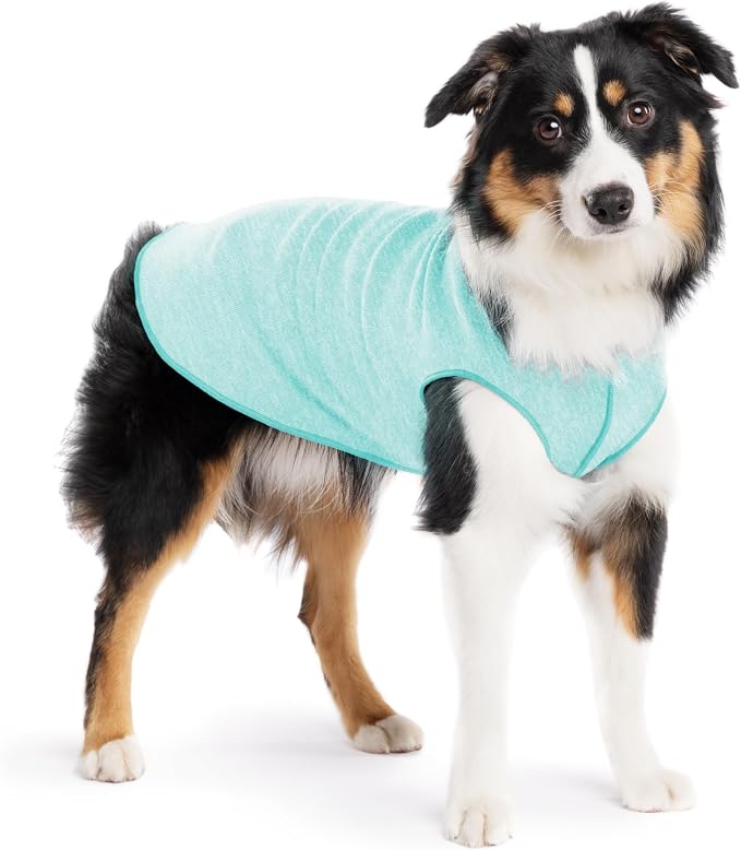 Goldpaw Dog Sun Shirt with UV Protection - Lightweight, Cooling Sun Protection Clothing for Dogs - Reduce Heat Absorption - Pet Clothes Made in the USA - Machine Washable - Size 14 - Baja Beach