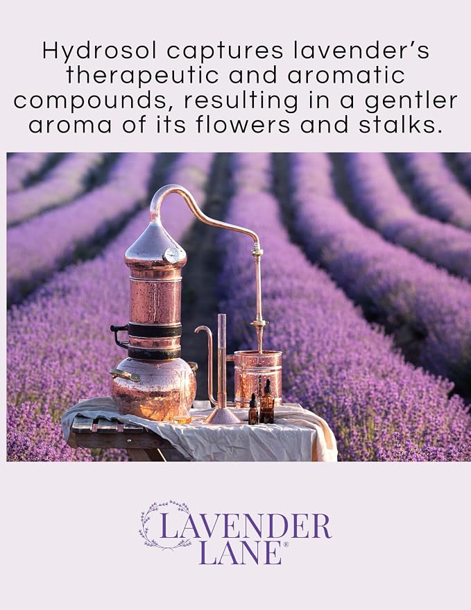 Lavender Hydrosol Floral Water - Distilled on Our Lavender Farm, Facial Toner, Aromatherapy, Linen & Room Mist (32 oz (1/4 Gallon))