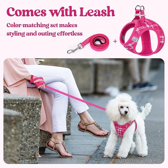 rabbitgoo Dog Harness Small Sized and Leash Set, Step-in Puppy Pet Vest | Light, Soft, Breathable Air Mesh, Easy on and Remove with Hook & Loop, Secure Reflective for Walking, Rose Red Plaid XS