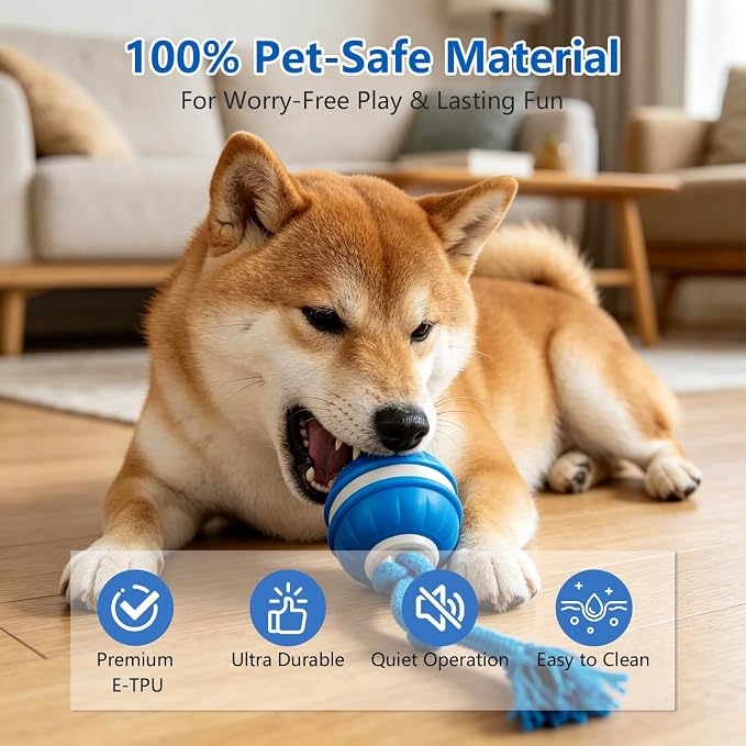 Interactive Dog Ball, 360° Self-Moving, USB-C, LED and Squeaker