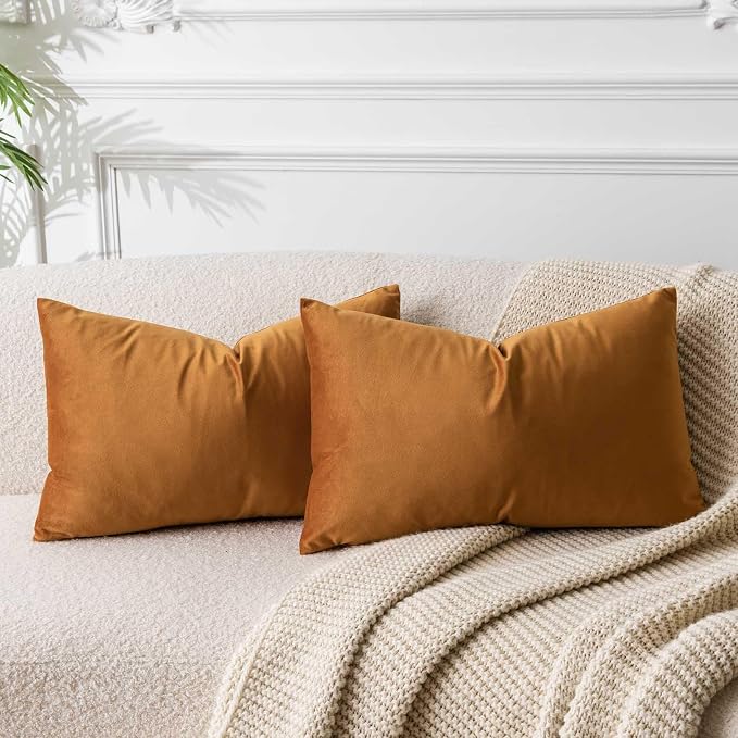 16x24 Pillow Covers Set of 2 Decorative Velvet Throw Pillow Covers,Rust | Luxury Soft Cushion Covers with Invisible Zipper for Couch Sofa Bed Living Room Bedroom Home Decor Halloween