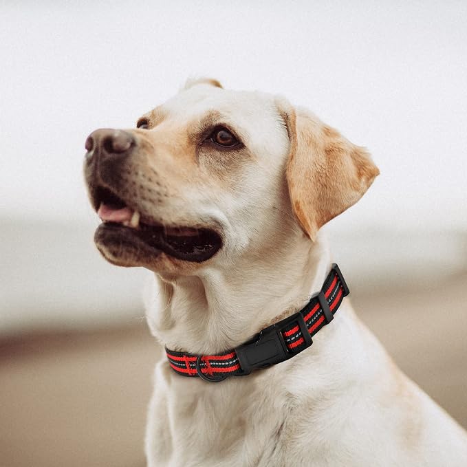 Mile High Life Reflective Dog Collar, Adjustable Lightweight Quick Release