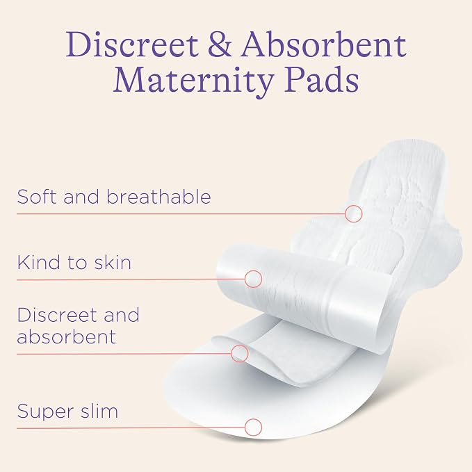 Lansinoh Postpartum Maxi Pads Bundle, 40 Count, Heavy Absorbency Overnight Pads with Wings, Includes 2 Sizes for Extra Protection, Postpartum Essentials