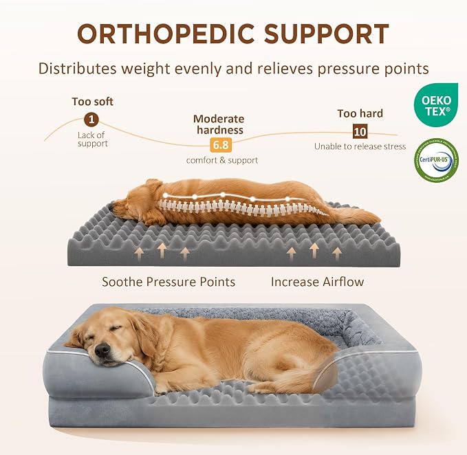 Comfort Expression Waterproof Orthopedic Dog Beds for Extra Large Dog | Supportive Egg Crate Foam Big Dog Bed with Removable Bolster, Dog Couch with Washable Cover & Non-Slip Bottom, 53x42Inch