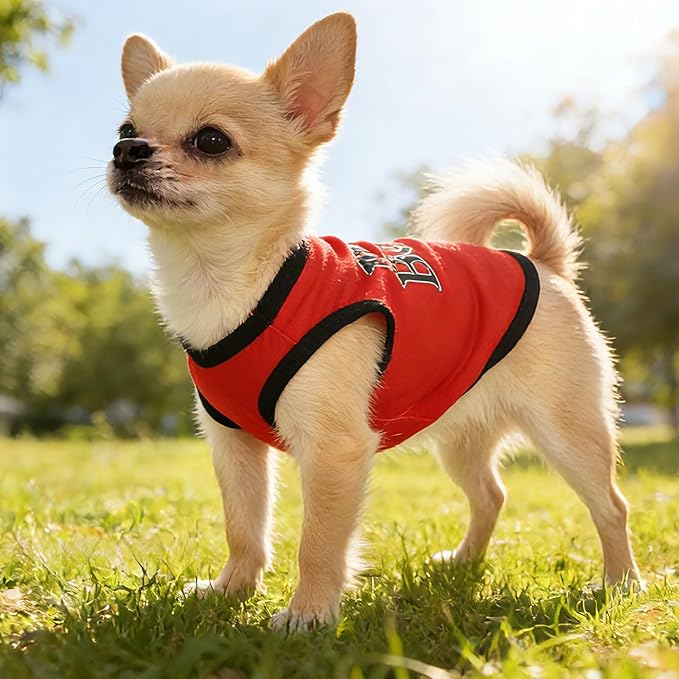 4 Pieces Dog Clothes for Small Dogs Boy Summer Puppy Clothes for Chihuahua Yorkie Soft Cute Pattern Dog Shirt Pet Cat Clothing Pink Rose Red Green XXS~M (Small)