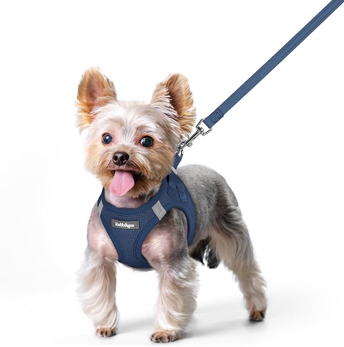 rabbitgoo Dog Harness Small Sized and Leash Set, Step-in Puppy Pet Vest | Light, Soft, Breathable Air Mesh, Easy on and Remove with Hook & Loop, Secure Reflective for Walking, Navy Blue XS