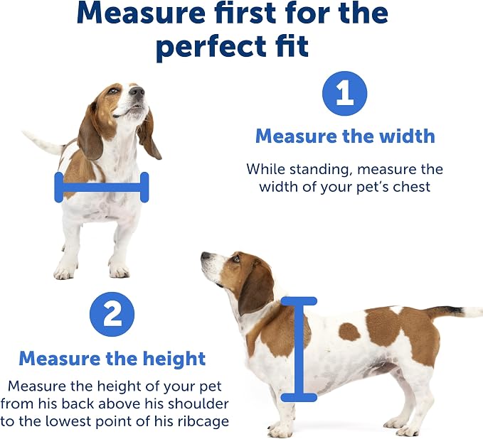 PetSafe Wall Entry Pet Door, Telescoping, Dogs up to 40 lb, Medium | Insulates Better Than Metal, Interior & Exterior Install, Weatherproof Double-Flap, DIY Telescoping Tunnel 4.75-7.25 in Walls