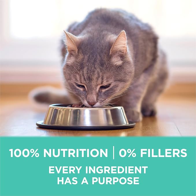 Purina ONE Sensitive Skin and Stomach Dry Cat Food 22 lb Bag