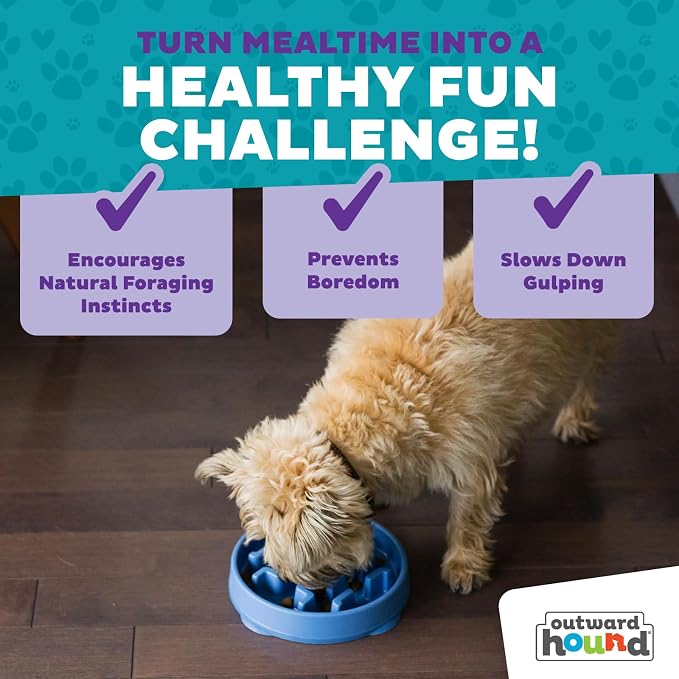 Outward Hound Fun Feeder Slo Bowl – 2‑Cup Capacity, Slow Feeding, Small to Medium Dogs & Cats, Non-Slip, Blue, Notch Pattern, Medium (Pack of 12)