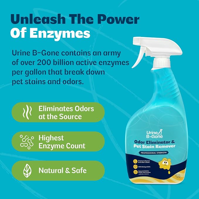 Urine B-Gone Enzyme Cleaner for Human, Cat & Dog Urine, Original, 32 oz | Enzyme cleaner for human, cat and dog urine on laundry, carpets and more; original scent, 32 oz.