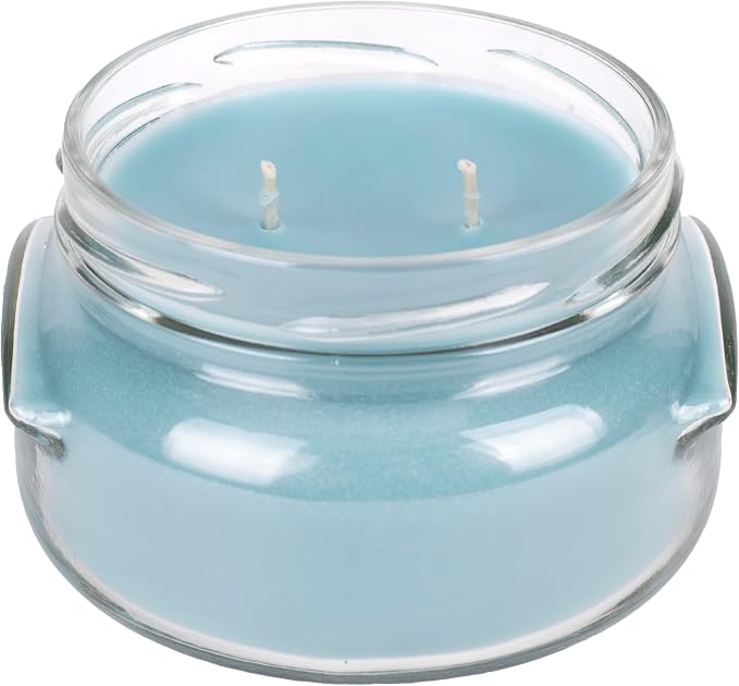 Elanze Designs Tyler Candle Resort 11 Ounce and Limelight 3.4 Ounce Aromatherapy Scented Candles; Set of 4
